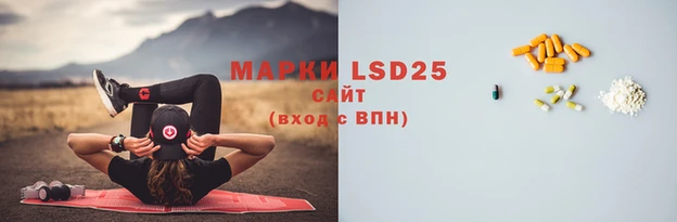PSILOCYBIN Абдулино