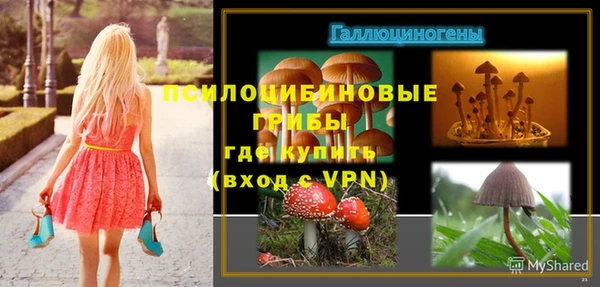 шишки Алзамай
